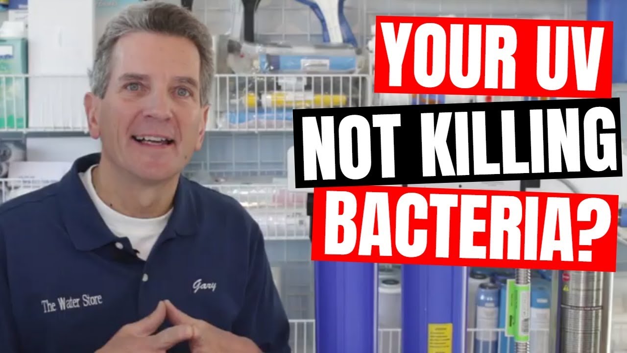 Ultraviolet TROUBLESHOOTING | 8 REASONS Why YOURS ISN'T WORKING