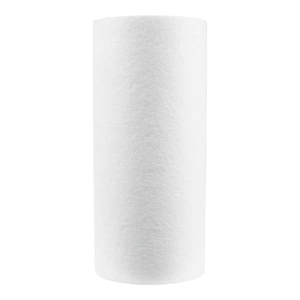 Pentair 10" BB Sediment DGD-5005 #155357-43