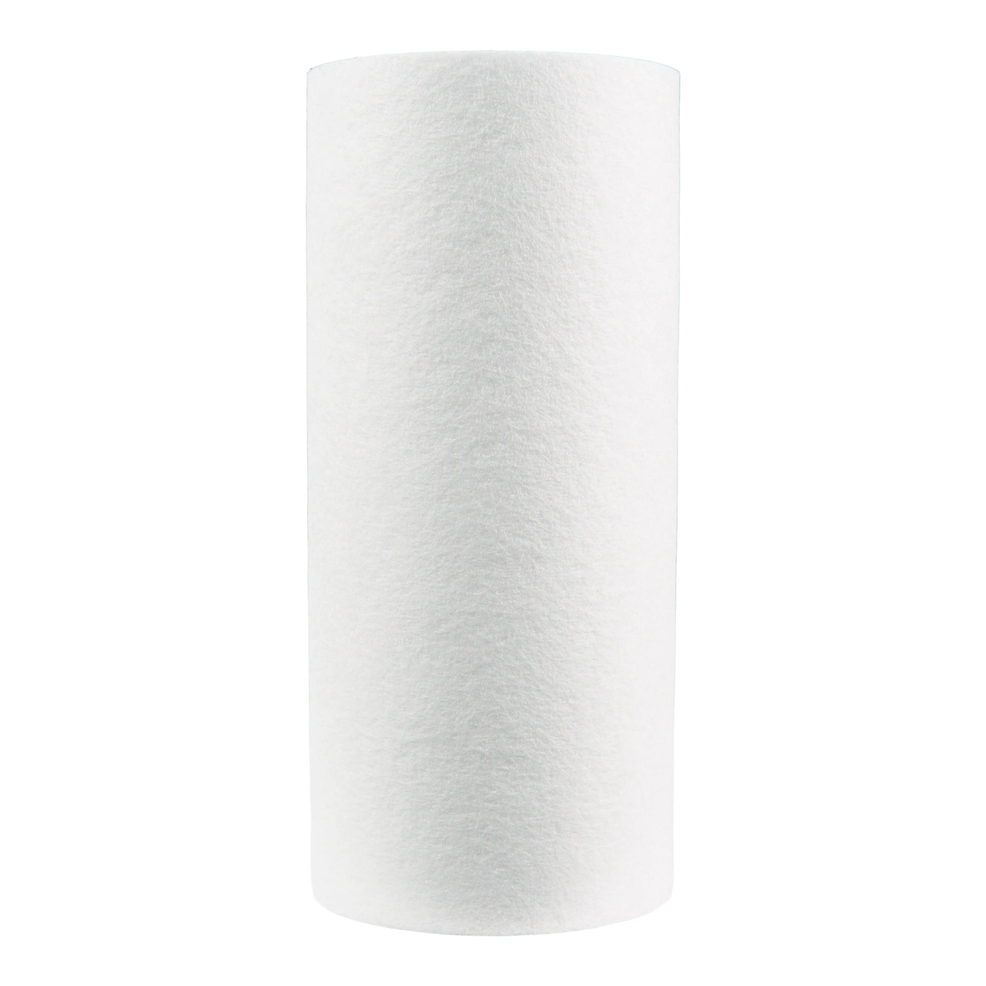 Pentair 10" BB Sediment DGD-5005 #155357-43