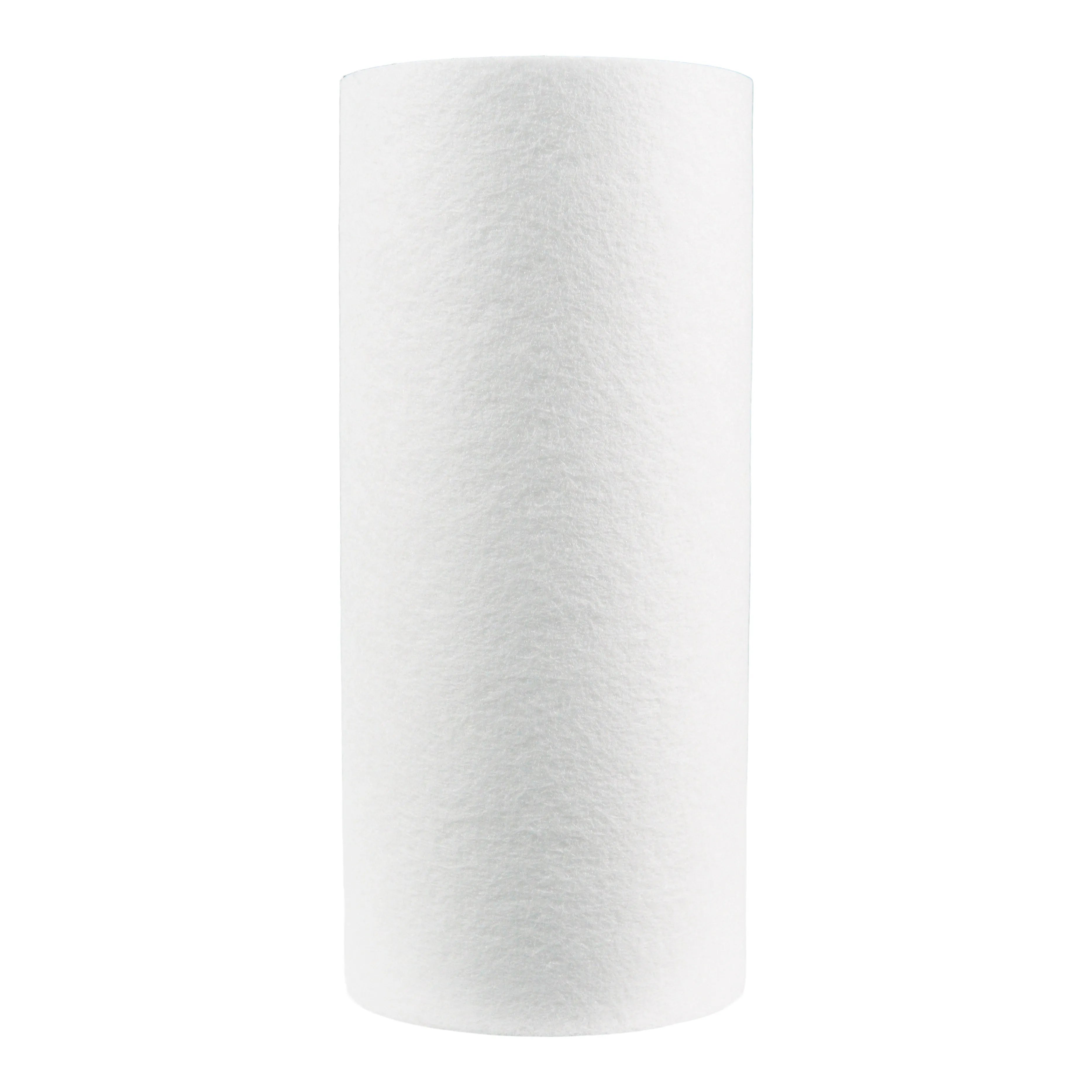 Pentair 10" BB Sediment DGD-5005 #155357-43