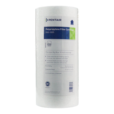 Pentair 10" BB Sediment DGD-5005 #155357-43