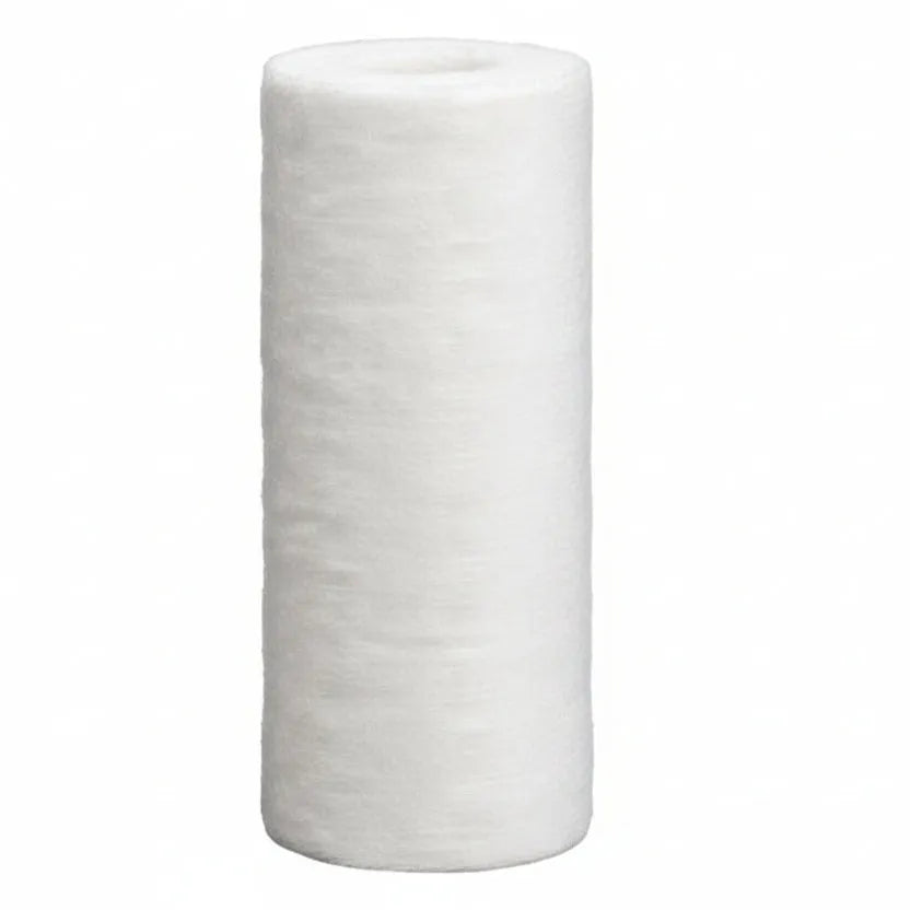 Pentair 10" BB Sediment DGD-7525 #155355-43