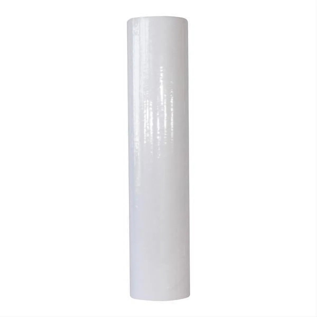 Pentair 20" BB DGD-7525-20"BB #155356-43