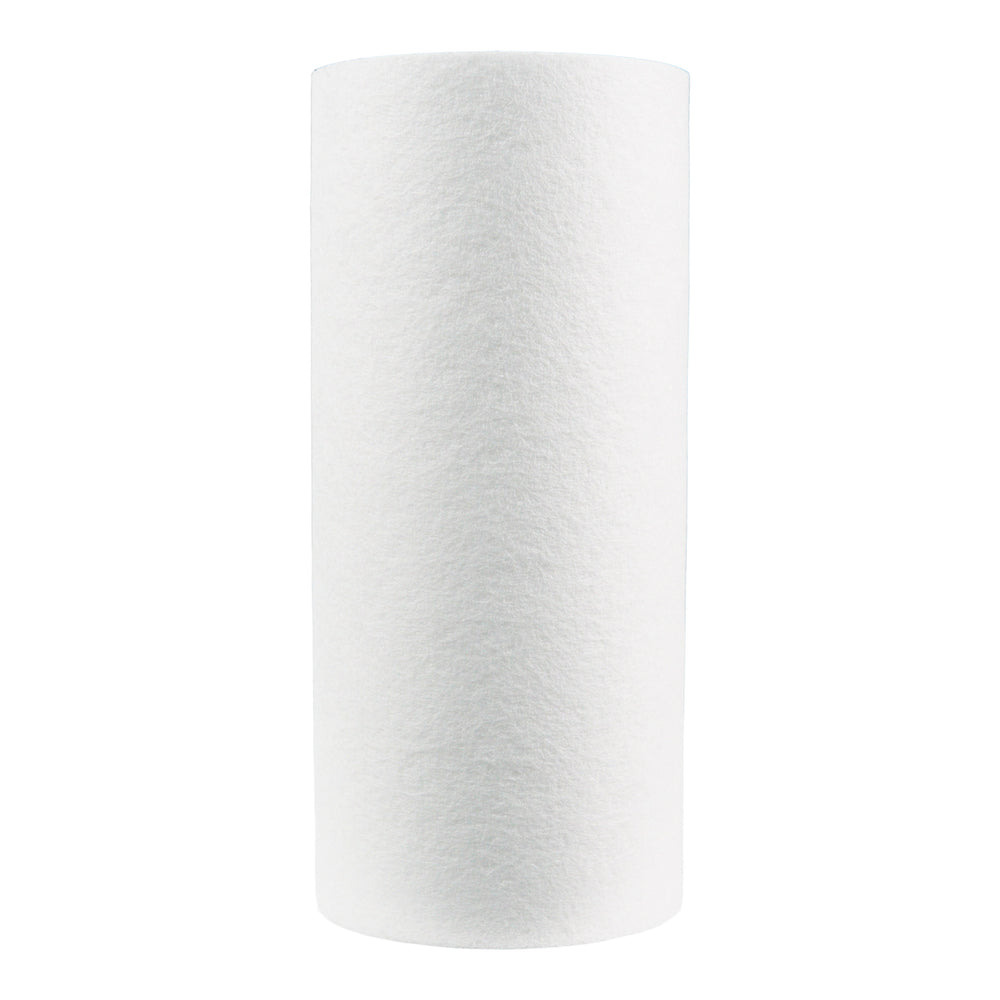 Pentair 10" BB Sediment DGD-5005 #155357-43