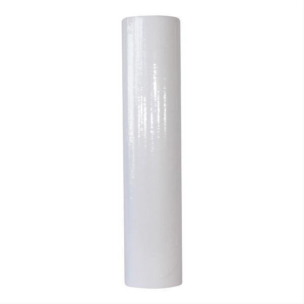 Pentek 20" BB DGD-7525-20"BB #155356-43 Free Shipping