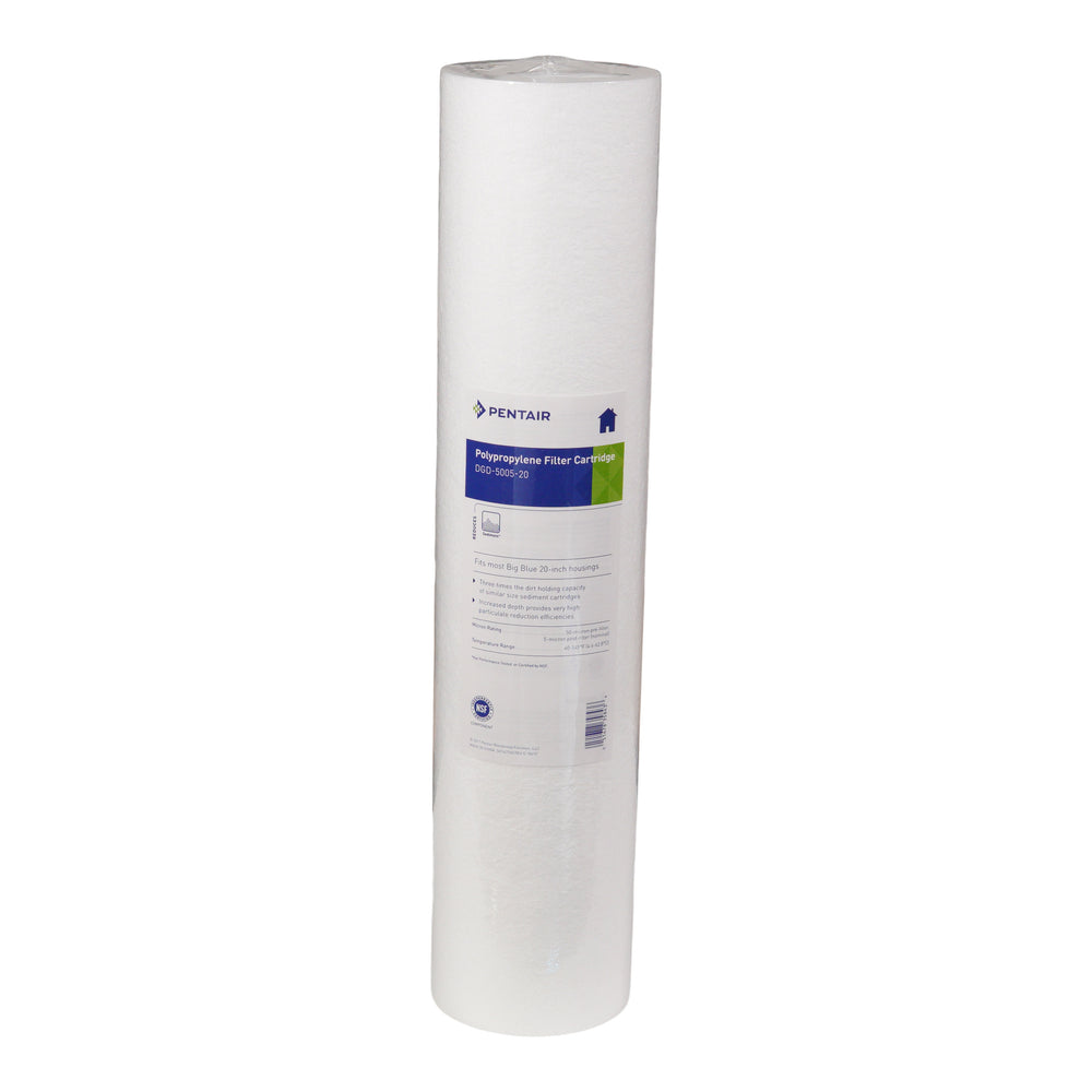 Pentair 20" BB Sediment DGD-5005 155358-43